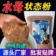 钓鱼水母状态粉超细水拉饵拉丝粉罗飞昆布丝蜘蛛丝冻饵拉凡凡贸易