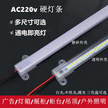 220vӲ���l2835����20cm-120cm��ů���Թ���ɫ�ؿ��x���͸���⚤