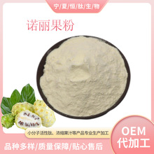 诺丽果粉99%水溶果汁粉喷雾干燥固体饮料果蔬粉原料现货 诺丽果粉