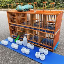 便宜大号封画眉鸟排笼生鸟专用鸟笼养笼板笼鹌鹑双层老竹泡油笼