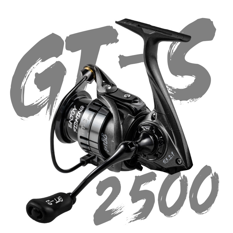 GT-S 2500