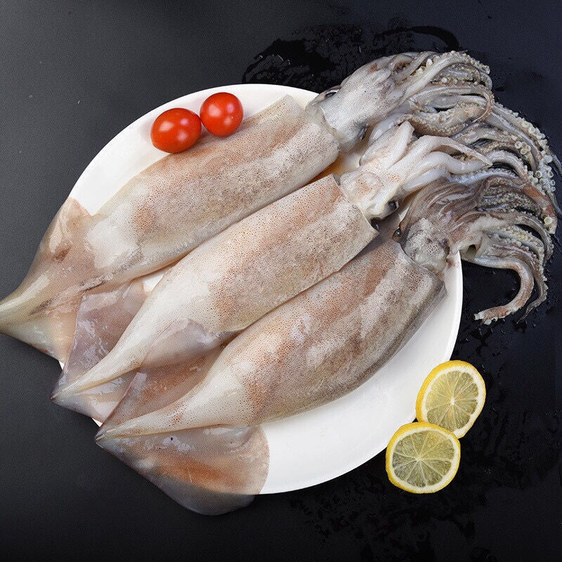 squid Ice 10 squid Fresh Freezing Squid barbecue Seafood 1 wholesale