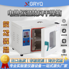 电热恒温鼓风干燥箱高温加热实验室学校烘干机工业医用商用烤箱厂