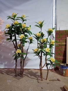 �����u�������҃ȾƵ����޲͏dչ���������쾰�b[���ٻ���