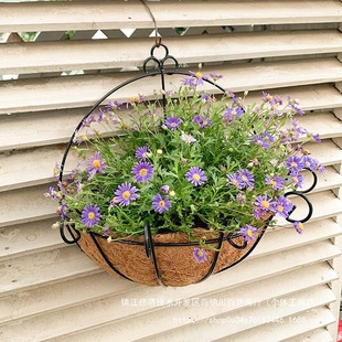 �����{���B�CҬ��ڱڒ�ˇ���ϻ����ʽ�Nֲ�F�|���ݵ��@�ؒ컨�@