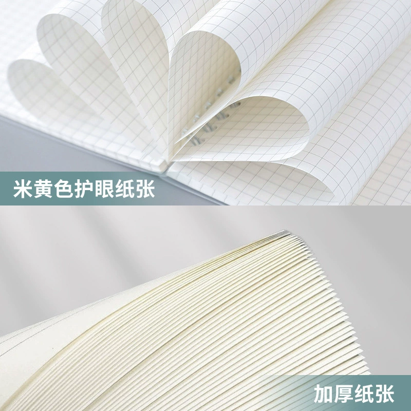 Spiral Notebook, Transparent PP Cover, A6/A5/B5 Tear-Off Sheets, Lined/Squared/Blank
