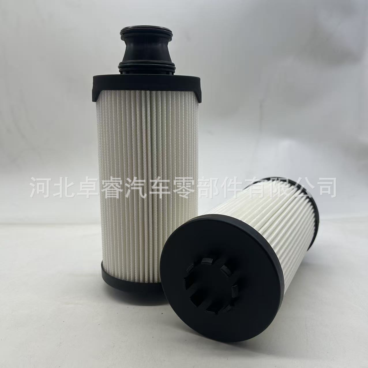 Diesel Filter Supports Customized Sn70406 Fs20038 10149977 1034043824 Filter Element
