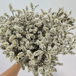 ������ˮ���ݸɻ��廨������ϏS��ֱ���Ҿӻ�Y�Ɍ��b��b��DIY