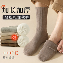 袜子男秋冬款加厚中筒保暖毛圈袜加绒男士超厚睡眠袜子冬季长筒袜