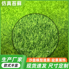 模擬苔緑苔芝生模擬芝生背景壁窓盆栽緑植物装飾人工偽苔