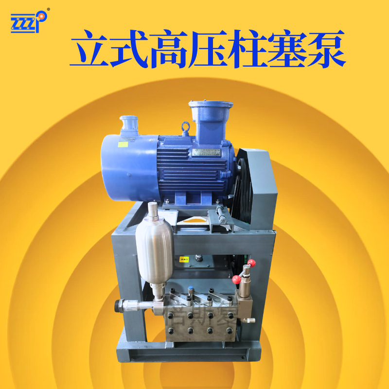 高压试压泵电动清洗设备立式结构紧凑柱塞泵污水反渗透泵头处理