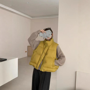2025 New Autumn and Winter Pure Color Stand-Up Collar down Vest for Small People to Wear Slim Student Vest Jacket Sleeveless
