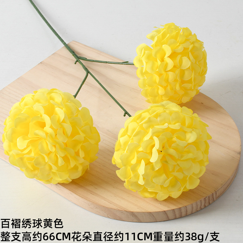 ไฮเดรนเยียจีบสีเหลือง