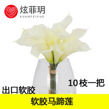 羳10^RɏcҾbܛz滨Ĕzl