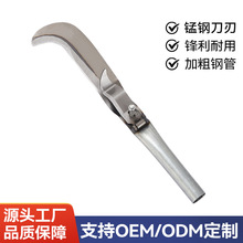 ��ó����;���ո����Ҷ���̸ֵ��ɿ�ɽ���¿��ֶ�����Ҷ��ũ��