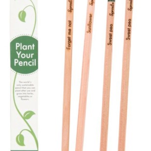 Writable Paper Creative Design Art Paper Pencil Biodegradable Material Plantable Germinating Seeds Seed Pen Wholesale
