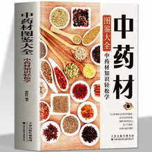 中药材图鉴大全书籍 中医书籍大全中草药材百科图鉴养生调理中医
