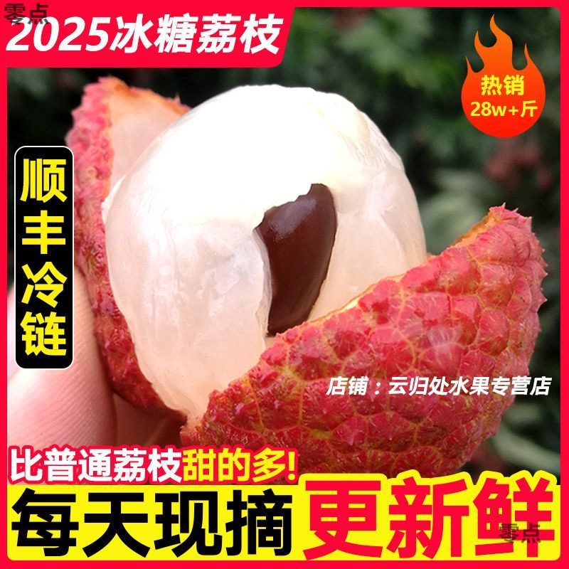 2025新鲜荔枝现摘当季水果白糖黑叶非妃子笑包邮跨境一件包邮