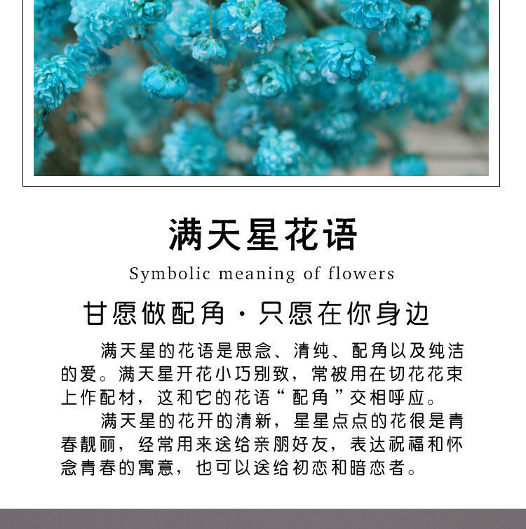 a49ae4fc-28ce-4056-bdb7-8608f3940ac6.jpe