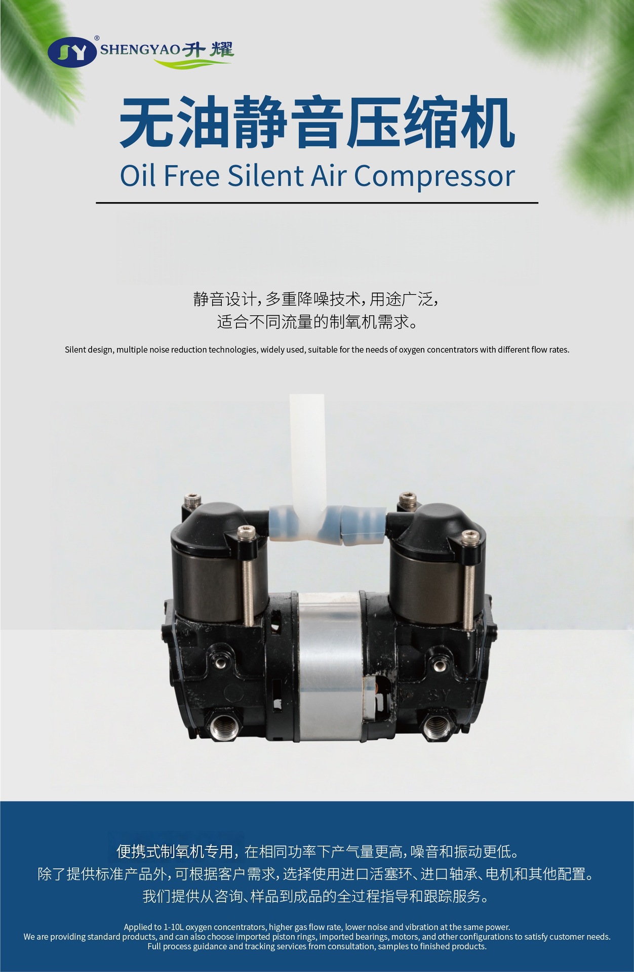 Source Manufacturer Oil-Free Silent Air Pump Compressor Dc Portable Oxygen Generator Air Compressor 12V/24V