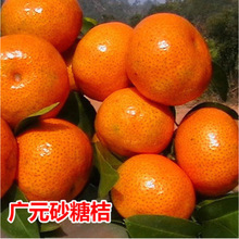 ɰ�ǽۘ��� �޽������� ���ڽ���ɰ�ǽ����� �ĕ�ɰ�ǽ� ����Y��