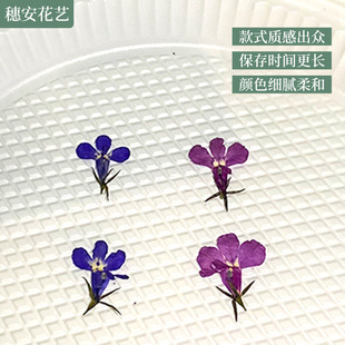 Hexili Natural Dried Flower Embossed Nail Art Face Decal Photo Frame Glue Dropping Mobile Phone Shell Flower DIY Material Wholesale
