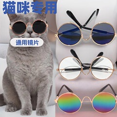 ペットのメガネはレトロでクールです。