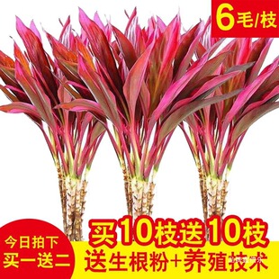 �������\���^���F����~ˮ��ˮ�B�Gֲ�����҃ȿ͏d�����՚⽪��t