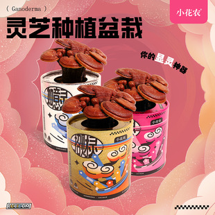 ���lС���r�`֥�`�Nֲ���ԾGֲ���lȤζ�Nֲ�����k���Ҕ[����ͯ�Y