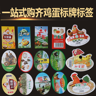 ���l���Ʋ��u���˺� ���u�����ƿ��ƿ�Ƭ  �ִ�����ĸ�� �u������