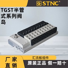 ԭװ��Ʒ STNC��ŵ�칤TGST���ʽ����-�����䷧ TGST-TG2511F-06