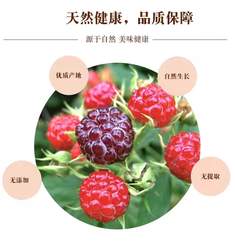 Fu Pen Zi Dried Raspberry Fruit 500g Whole Chinese Herbal Berries Fu Pen Zi 覆盆子 for Culinary and Traditional Use quality and texture