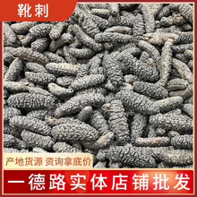 �a�����lѥ�������ڴ̅�����һ��·�r��