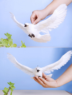 ���Ӕ[��������c���ߺ�ƽ��ģ������ë�ɑҒ��B�˱�����