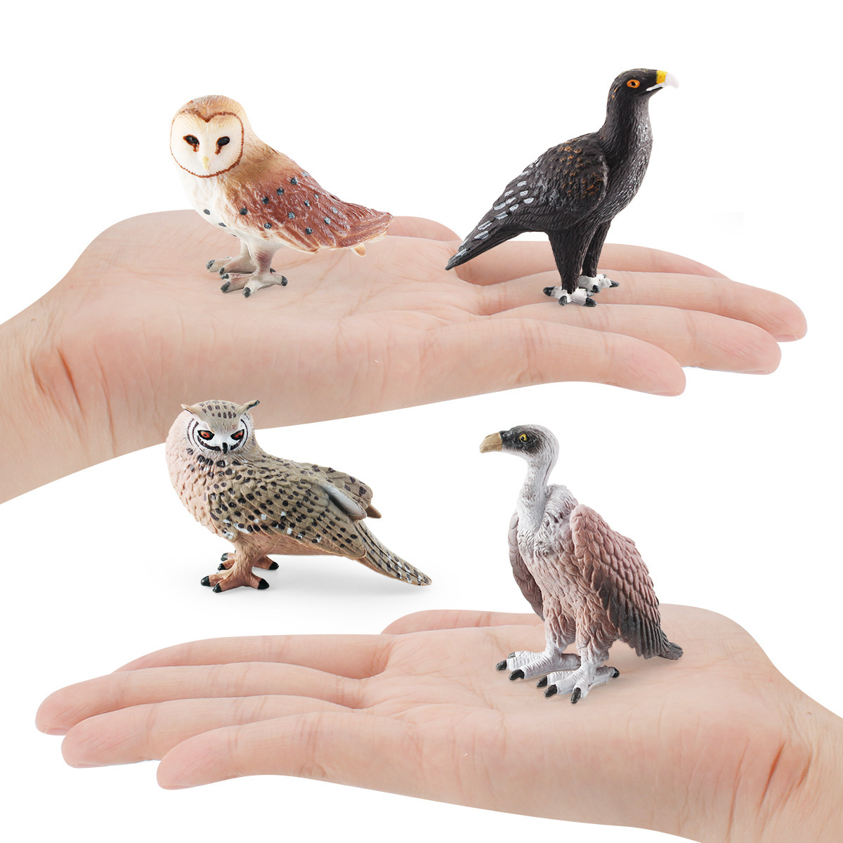 Simulación transfronteriza aves modelo animal mono cognitivo águila buitre búho adornos estáticos cognitivos