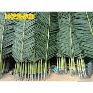 Ҭ�Ә����Ҭ���^�z��Ҭ��������ؙ��~�������~�~������~�zӰ��