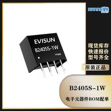 B2405S-1W(R2,R3)/EVISUN DC-DCԴģK24VD5VxԴоƬ
