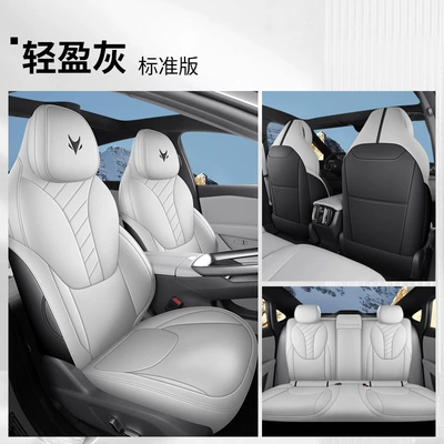 Four Seasons Pad Leather Special Cushion Car Seat - light-gray-standard-edition-remarks
