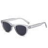 Retro brand sunglasses, 2021 collection, European style