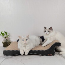 ���㼈؈ɳ�l؈����؈ץ����ĥ؈�C��̖�F����؈����ץĥצ�����