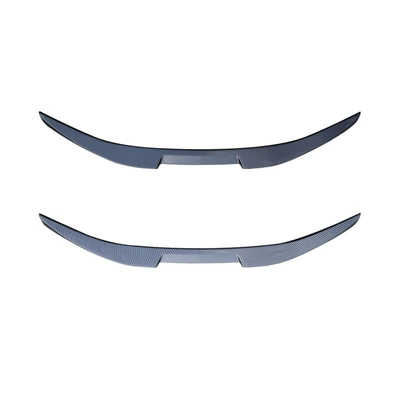 Model to Enhance the Appearance — Fixed wind wing