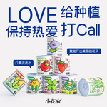 幼儿园儿童种植小盆栽学生迷你水果小盆栽盲盒办公室内桌面绿植物