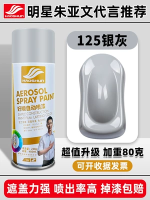 Avtomobil boya qələmləri Black White Paint Can - 125silver-gray