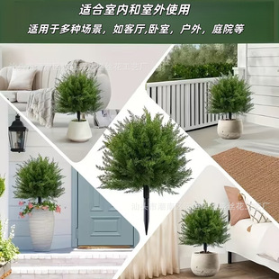 ���R�d�羳�����̰صز�Gֲ���~�b��⻨�@ͥԺ���Բ廨�쾰