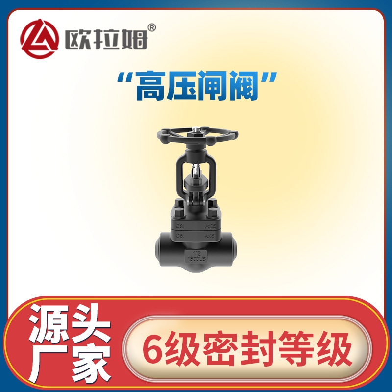 高压楔式闸阀 手动驱动 美标z61y型号 适用换热装置节能优化