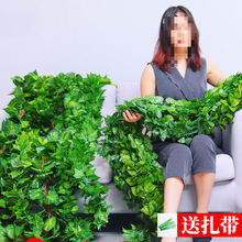 �����~�ٻ��ٗl���~�G�~�Gֲ�����b������������p�@ˮ��