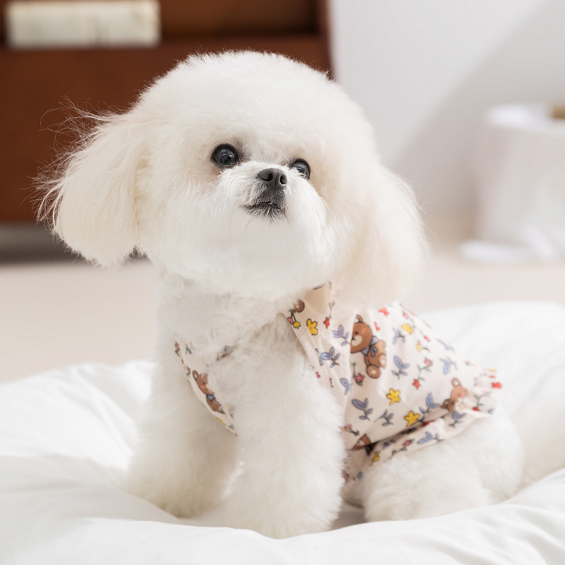 Ropa de perro de primavera y verano, lindo oso, vestido de calabaza colgante floral, oso de peluche, perro pequeño, gato, ropa para mascotas