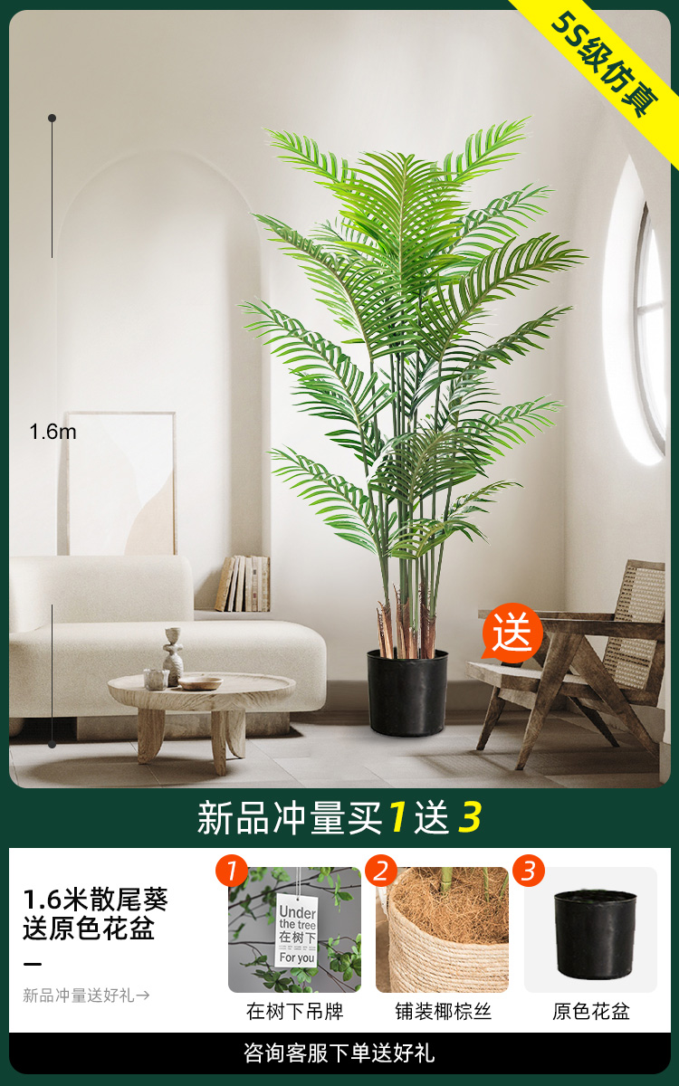 1.6 미터 산 꼬리 kwai [원래 분지 보내기]]