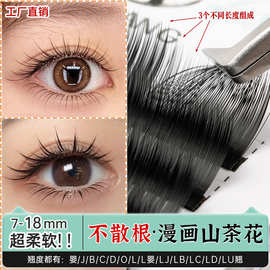 漫画山茶花睫毛软毛0.07不散根天鹅绒LC狐系太阳花款广角LJ美睫店