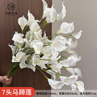 7�^�R��ɏ���滨��cܛ�b�Ҿ��bٻ�